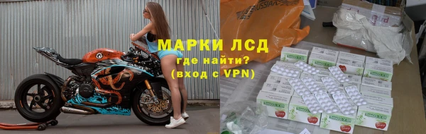 индика Волосово
