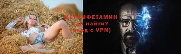 индика Волосово
