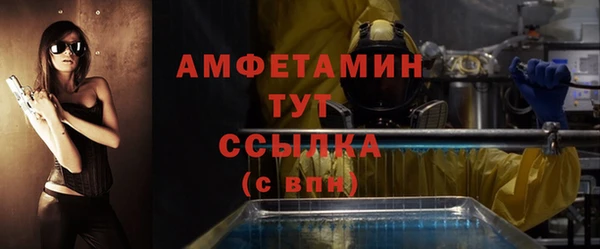 индика Волосово