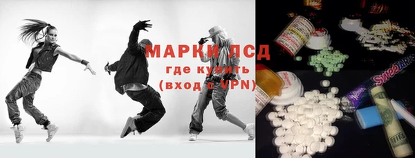 индика Волосово