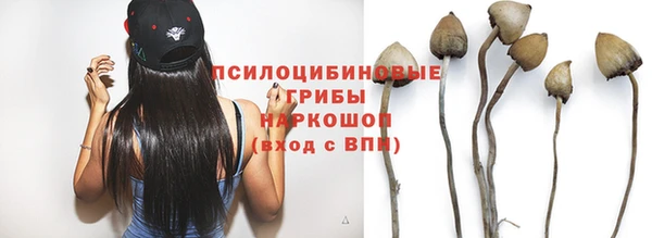 ешки Волоколамск