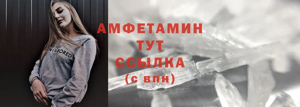 индика Волосово