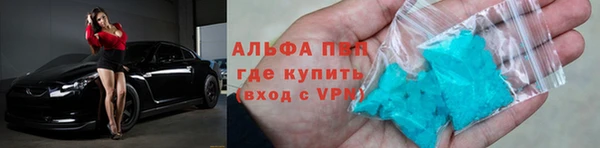 индика Волосово