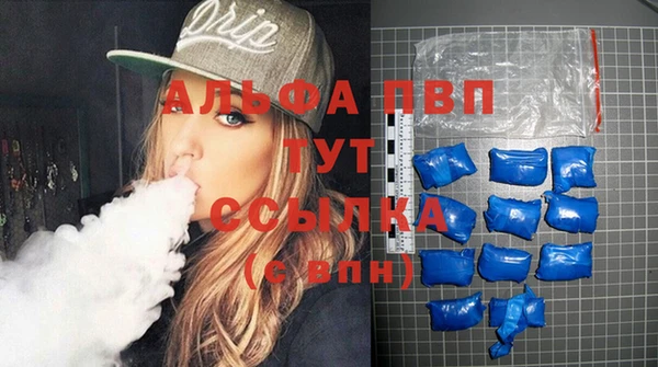 индика Волосово