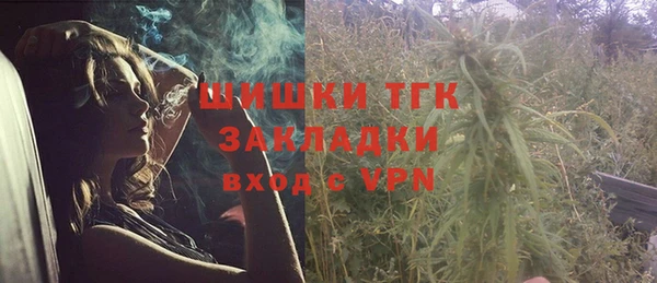 стафф Сосновка