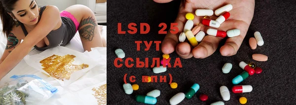 ГАЛЛЮЦИНОГЕННЫЕ ГРИБЫ Верхний Тагил