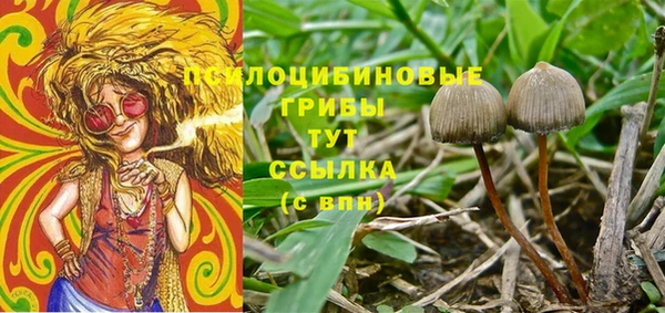 ешки Волоколамск