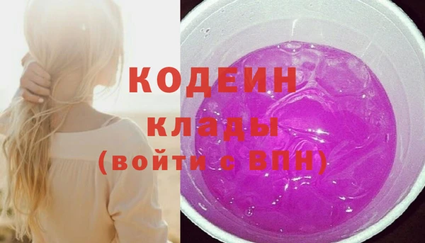 индика Волосово