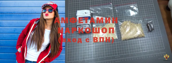 индика Волосово