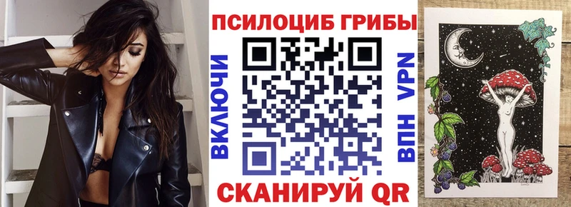 даркнет сайт Нальчик Псилоцибиновые грибы Cubensis